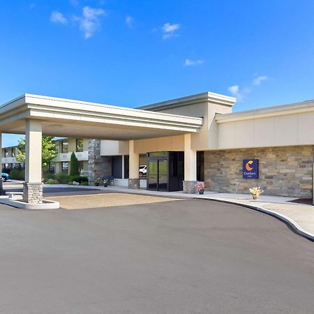 Comfort Inn Somerset Bagian luar foto